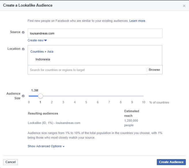 facebook lookalike audience