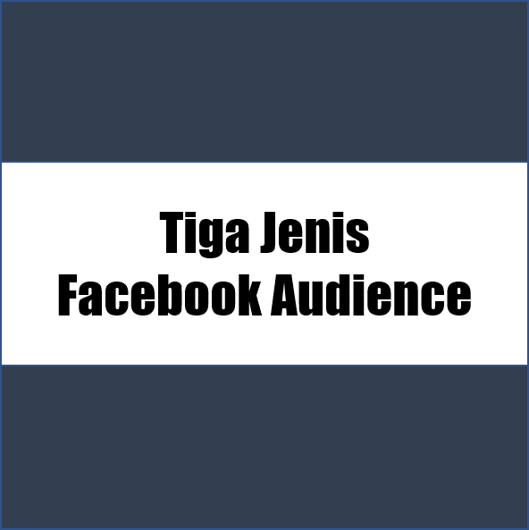 tiga jenis facebook audience