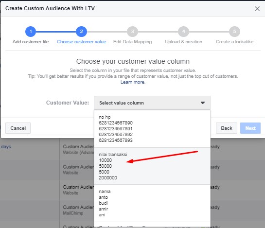 pilih kolom untuk value based lookalike